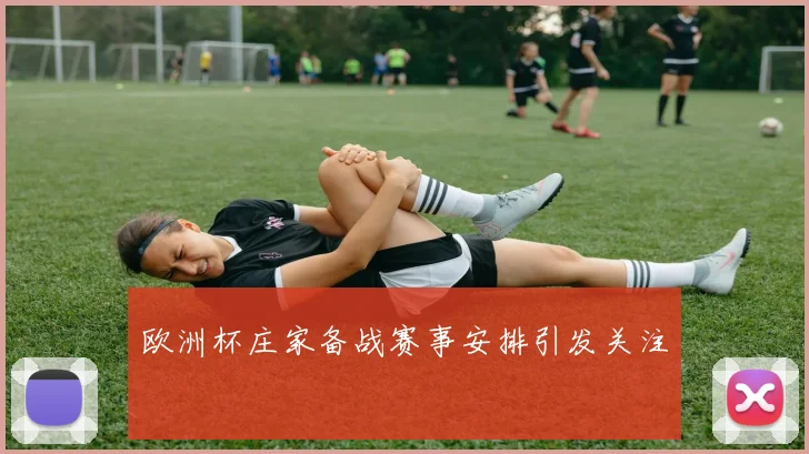 欧洲杯庄家备战赛事安排引发关注
