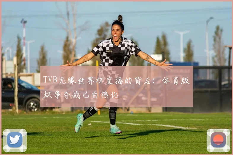 TVB无缘世界杯直播的背后:体育版权争夺战已白热化