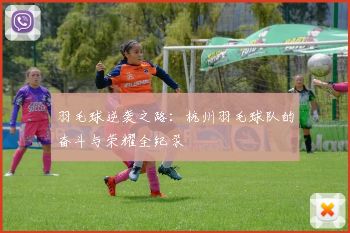 羽毛球逆袭之路：杭州羽毛球队的奋斗与荣耀全纪录