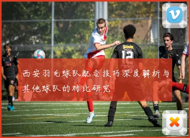 西安羽毛球队配合技巧深度解析与其他球队的对比研究