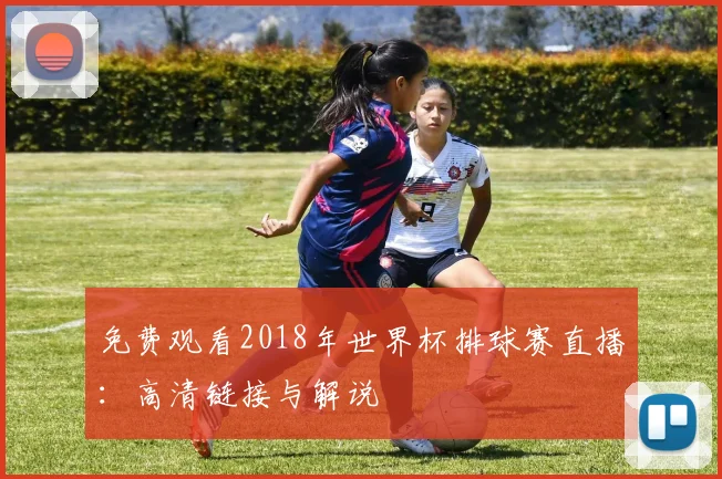 免费观看2018年世界杯排球赛直播:高清链接与解说