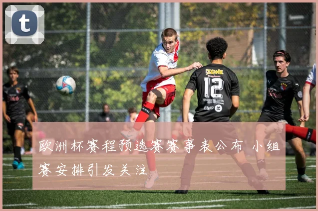 欧洲杯赛程预选赛赛事表公布 小组赛安排引发关注