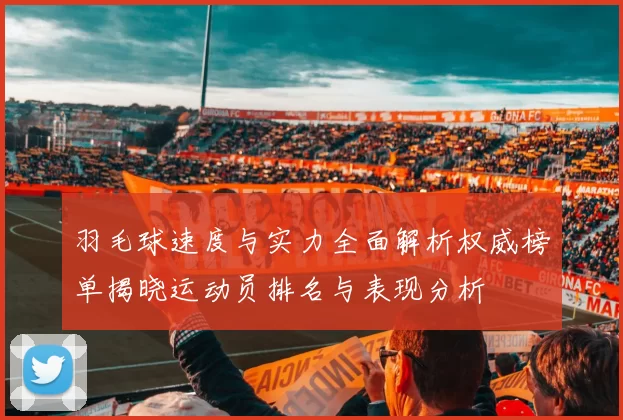 羽毛球速度与实力全面解析权威榜单揭晓运动员排名与表现分析