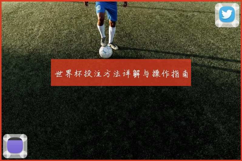 世界杯投注方法详解与操作指南