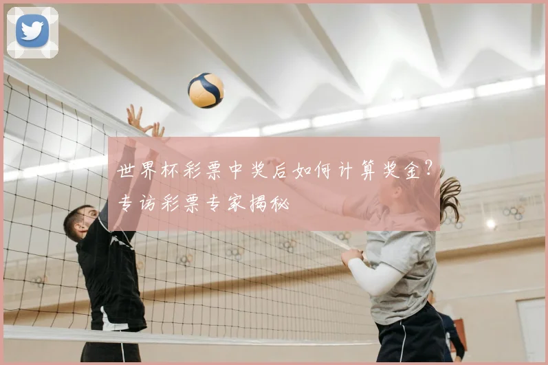 世界杯彩票中奖后如何计算奖金?专访彩票专家揭秘