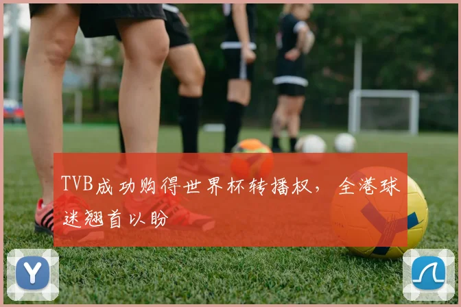 TVB成功购得世界杯转播权,全港球迷翘首以盼