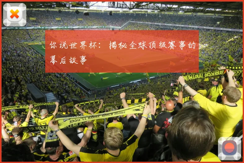 你说世界杯:揭秘全球顶级赛事的幕后故事