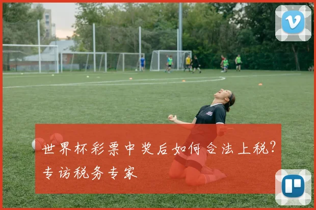 世界杯彩票中奖后如何合法上税?专访税务专家