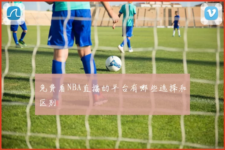 免费看NBA直播的平台有哪些选择和区别